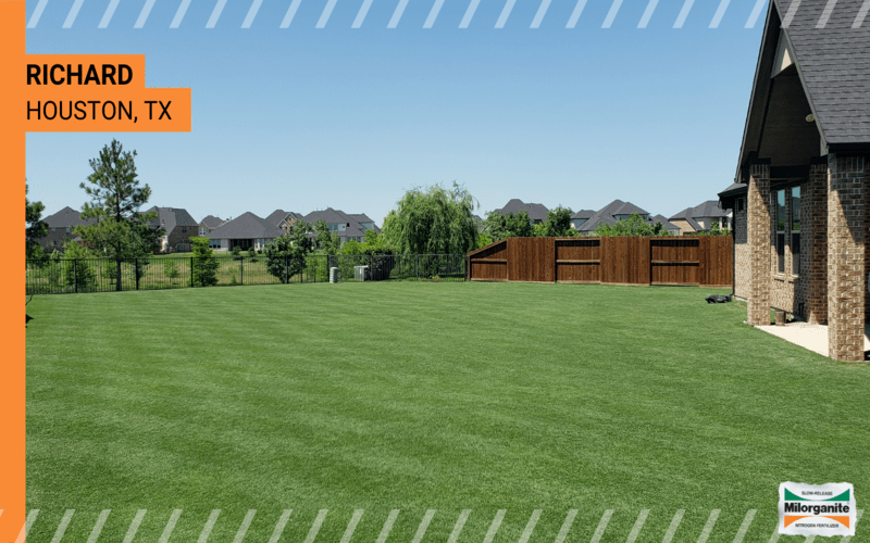 Before-and-after Milorganite picture Picture of lawn after using Milorganite fertilizer in Utah