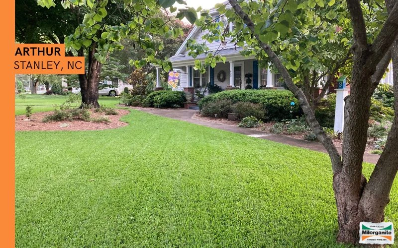 Healthy Lawn Bright green lawn fertilized with Milorganite.