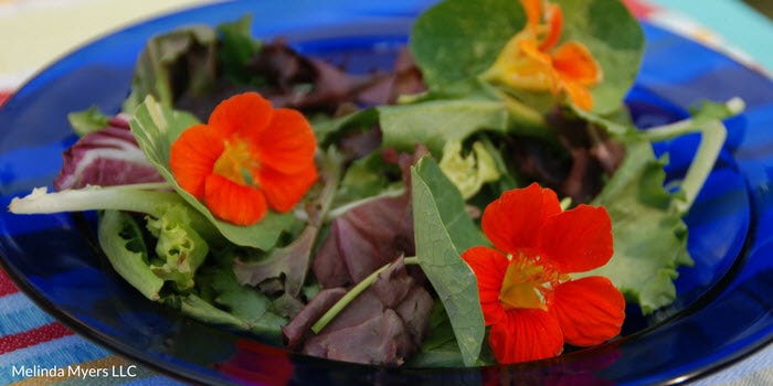 SaladMM 700x350.jpg