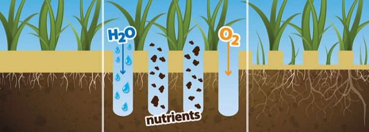 Aeration illustration of H20, nutrients and O2