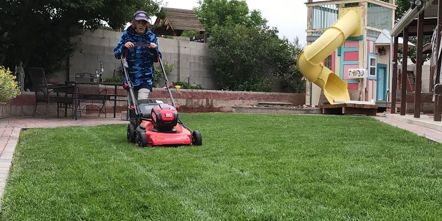 man mowing the backyard