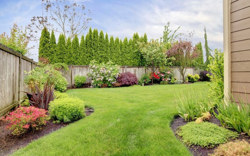 organic green lawn and landscaping