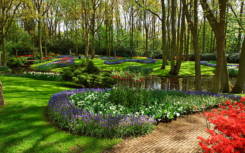 landscaping flowers and lawn