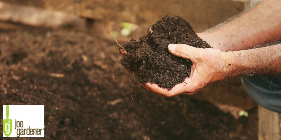 man holding compost in hand