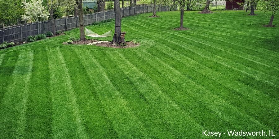 lush lawn with stripes